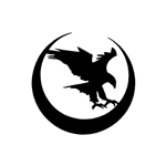 Nighthawk Custom