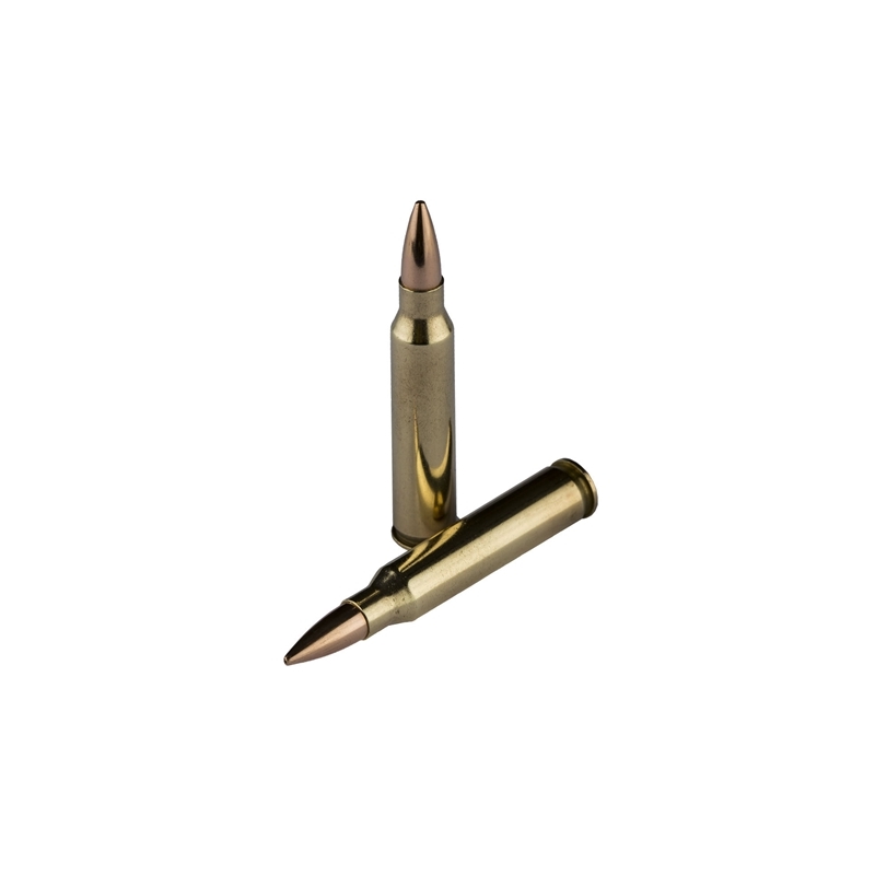 Eagle Eye Precision 223 Remington Ammo 69 Grain HPBT