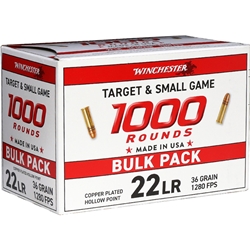 winchester-target-small-game-22-lr-ammunition-36-grain-copper-plated-hollow-point-22lr1khp||