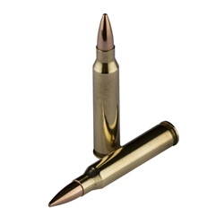 eagle-eye-precision-223-rem-ammo-69-gr-hpbt-ee22369||