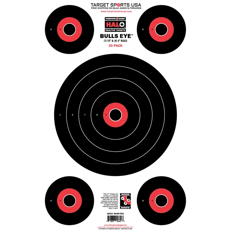Target Sports USA HALO Bullseye 10
