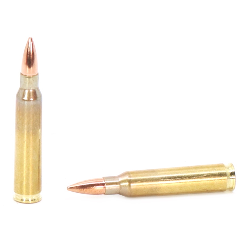 ZSR 5.56x45mm NATO M193 Ammo 55 Grain Full Metal Jacket - ZSR556M193