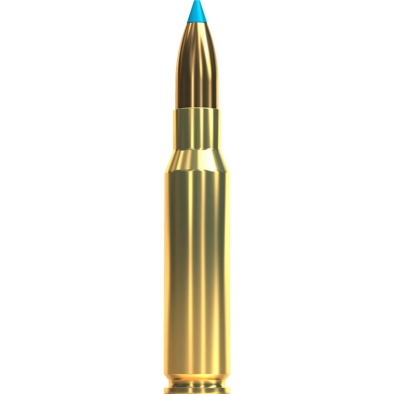 Sellier & Bellot Exergy 308 Winchester Ammo 110 Grain TXRG 