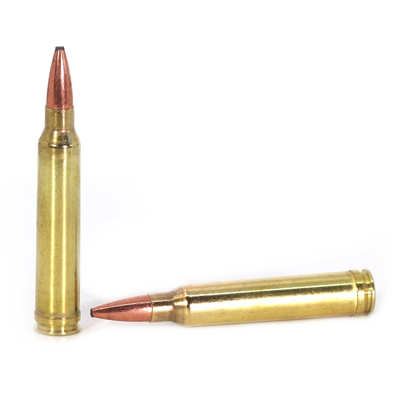  Federal F300WFS2 .300 Winchester Magnum 165 Grain Fusion - 20 Rounds-img-2