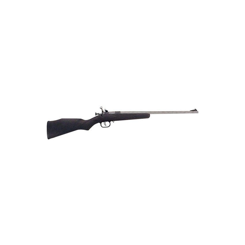 KSA Crickett Rifle 22 LR Single Shot Synthetic Stock Blue Finish