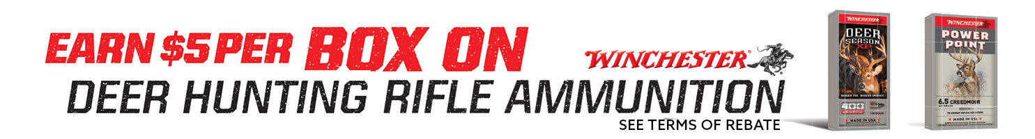 rebate banner