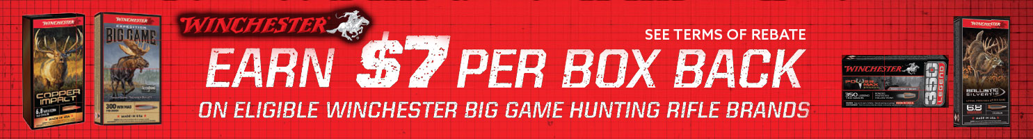 rebate banner